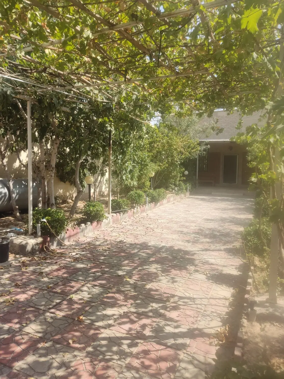 فروش