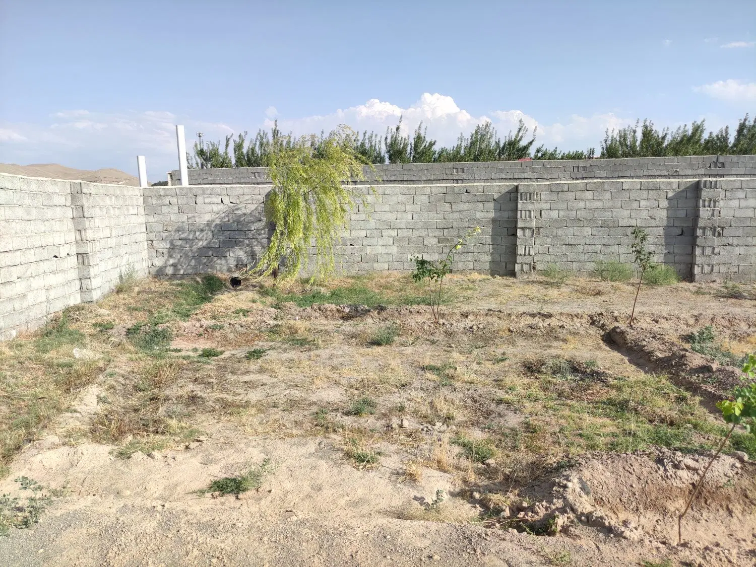 باغ 650 متر در خسروشاه