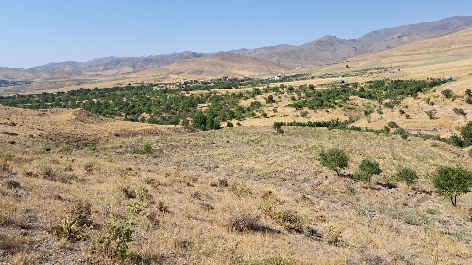 فروش زمین