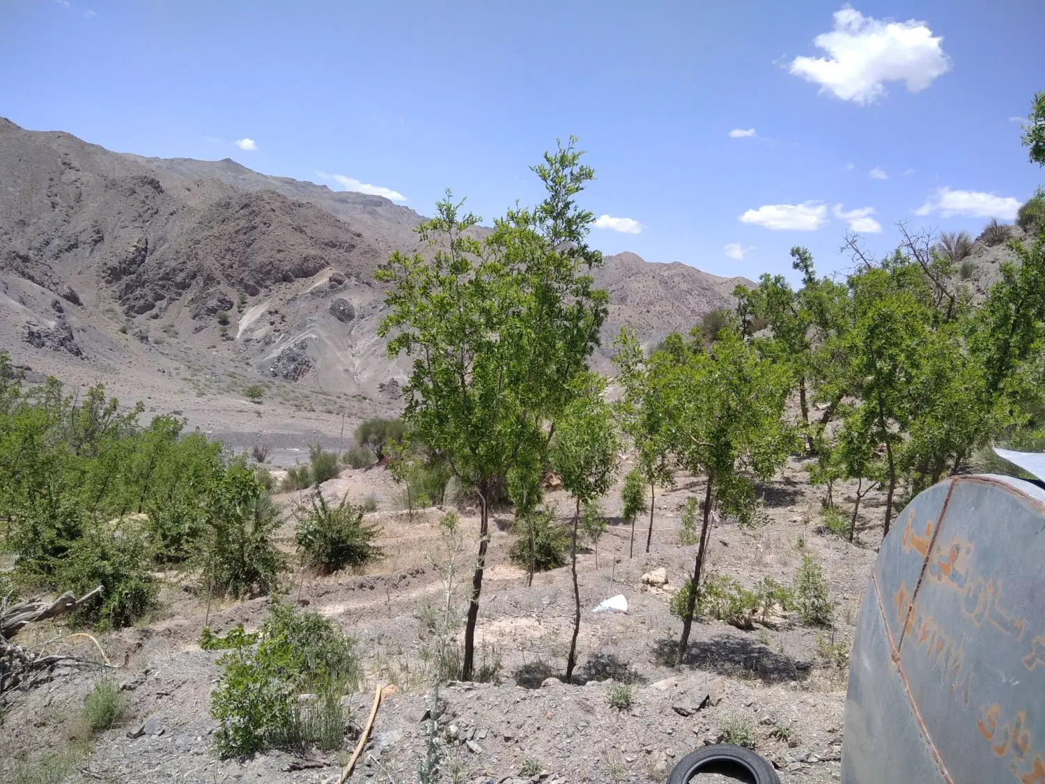 زمین کشاورزی منطقه کوهستانی جهت باغ ویلا
