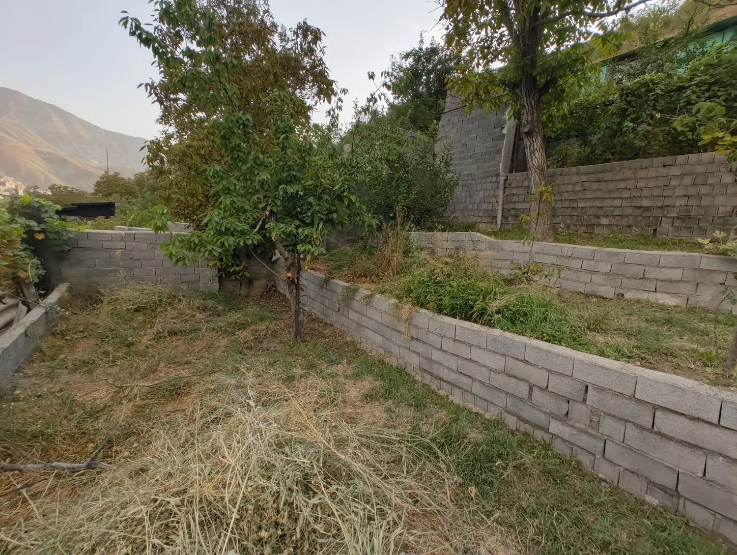زمین (باغچه) در لواسون بزرگ