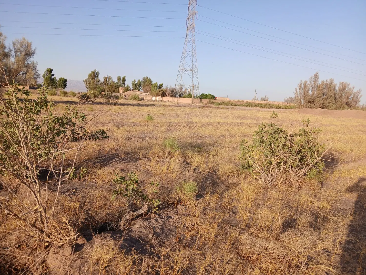 زمین فروشی