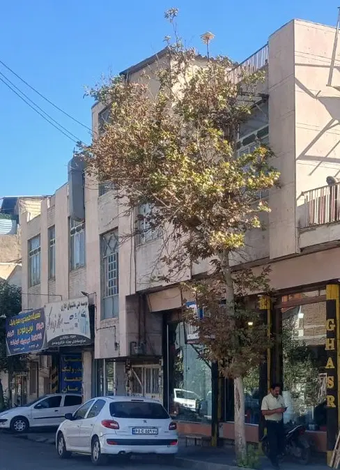 فروش ۳واحد آپارتمان و یک باب مغازه ۴۰ متری