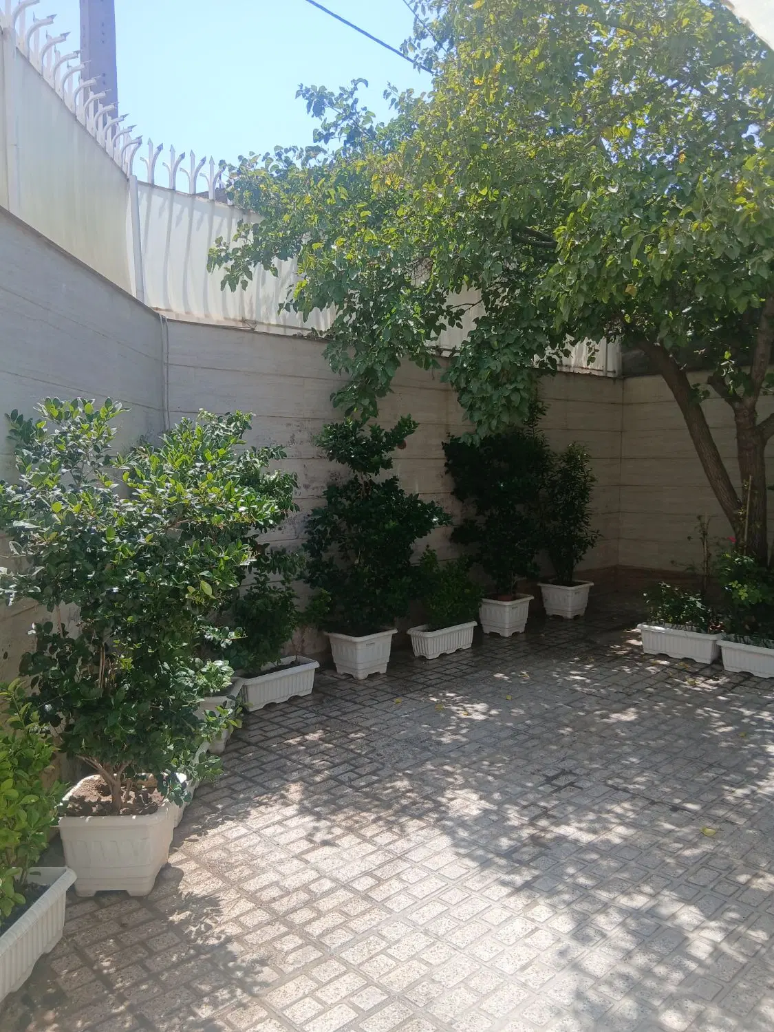 فروش ۳نبش بلوار حسابی  حاشیه خیابان ۲۰متری