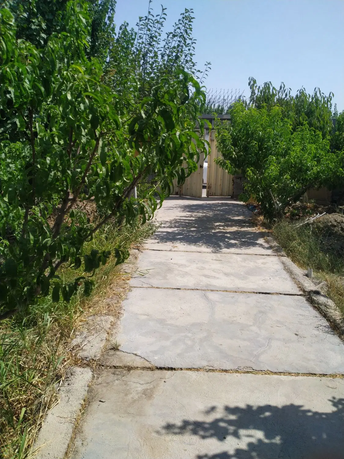 فروش باغچه در شهریار