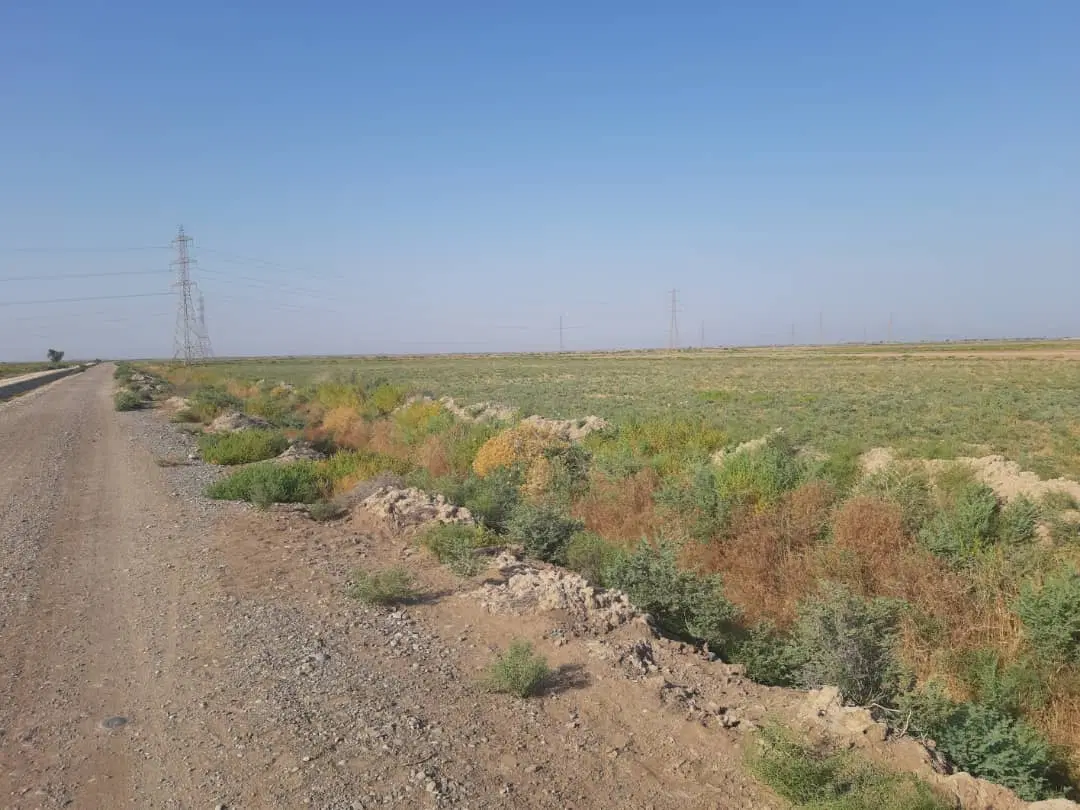 زمین کشاورزی برای فروش