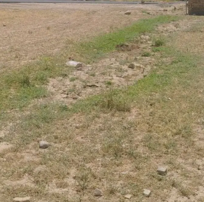 زمین مسکونی