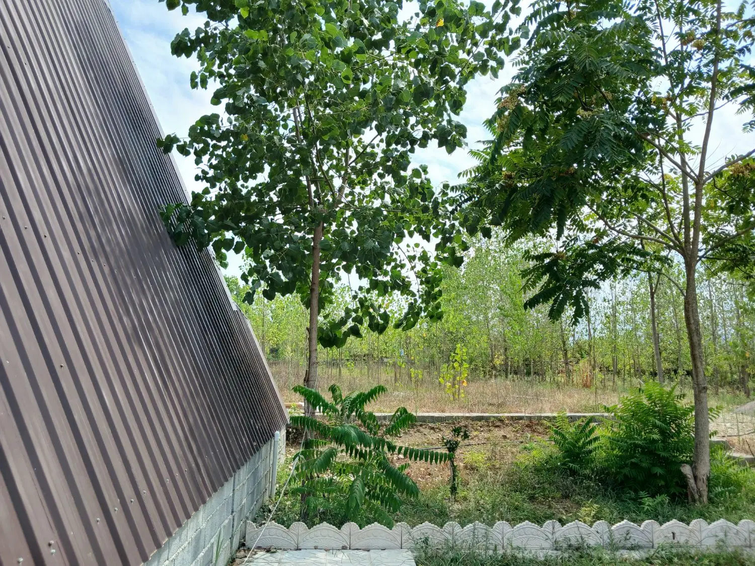 اجاره کلبه سوئیسی