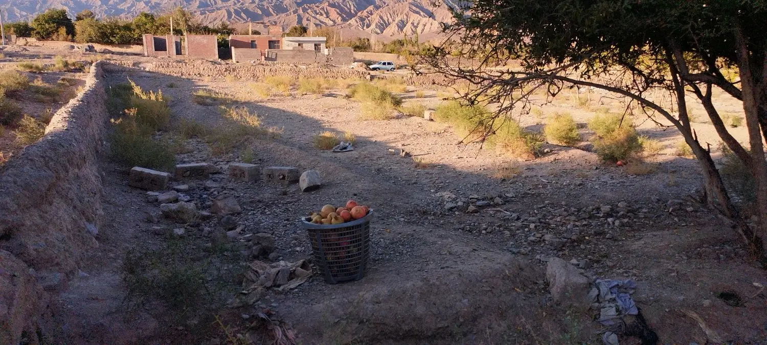 زمین گلباف