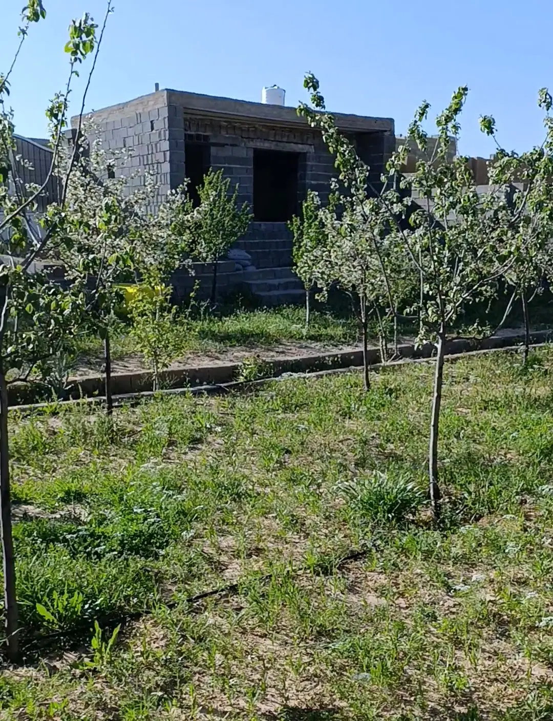 باغ کودیان چشمه شولی