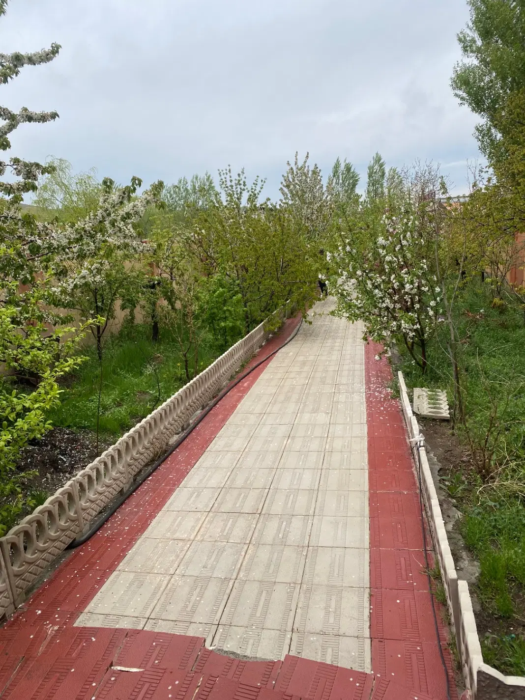 زمین مسکونی باسمنج ۷۰ متر
