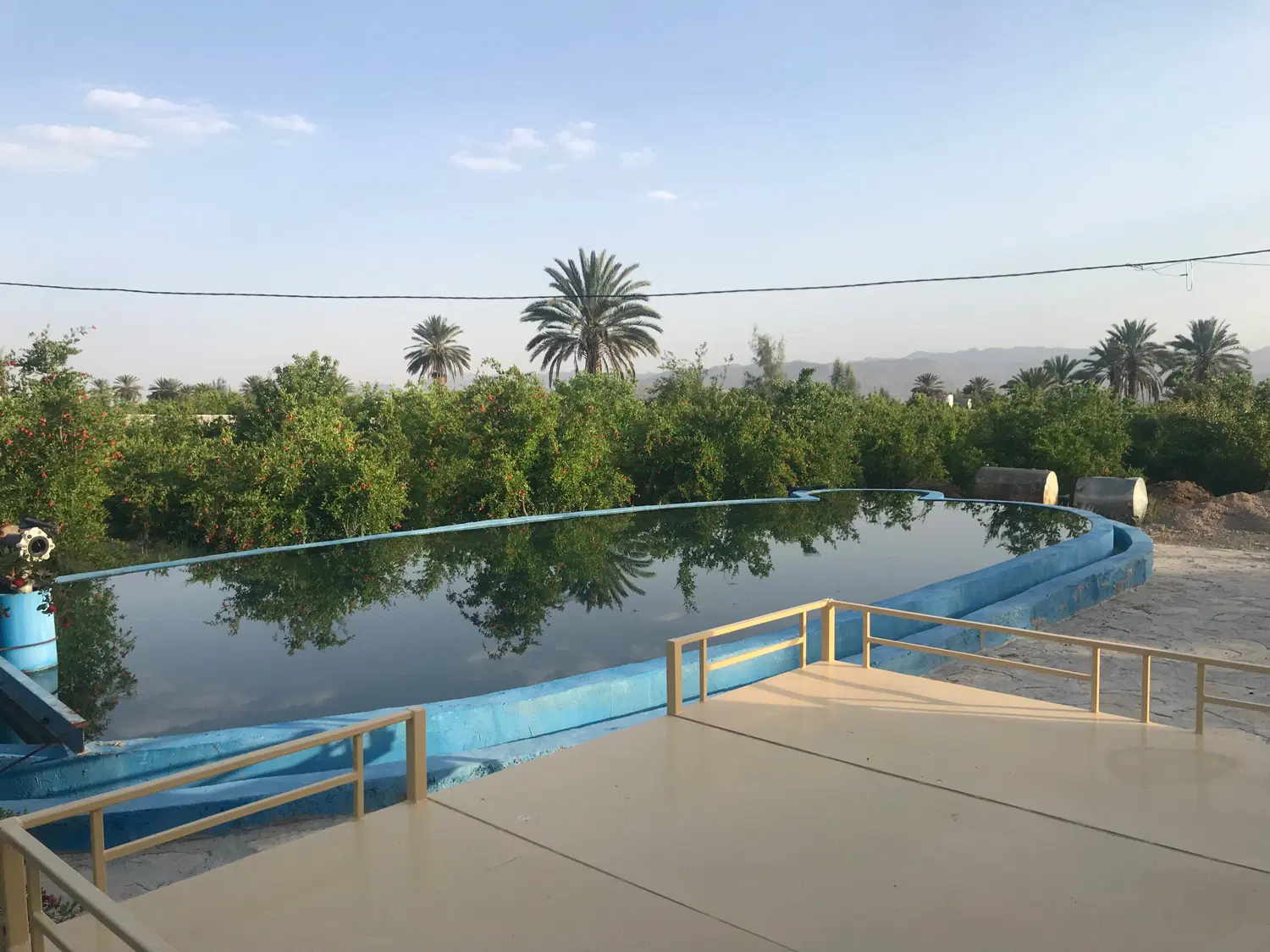 خرید و فروش باغ،باغچه و ویلا لوکس