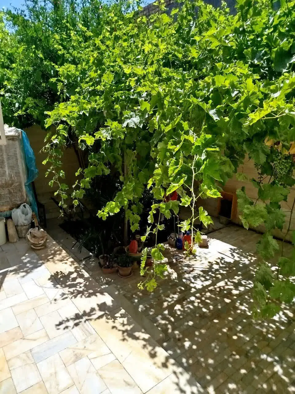 منزل فروشی