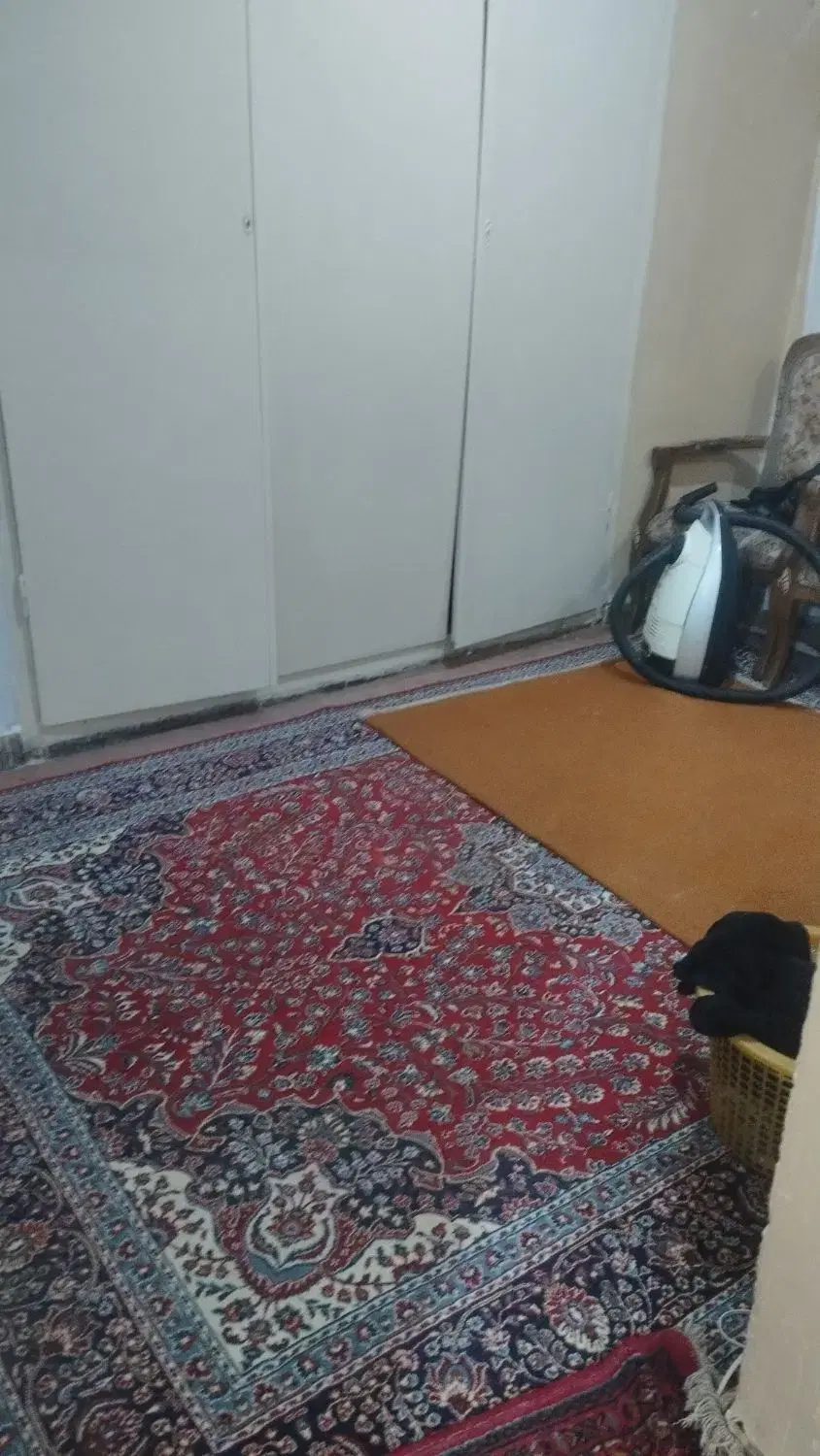 دو هم خونه خانوم