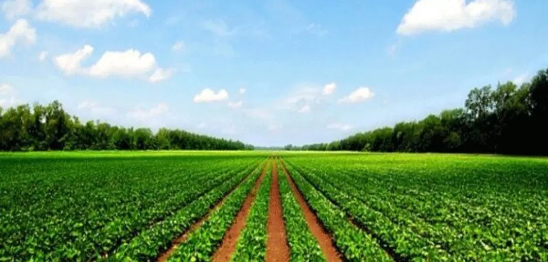 فروش زمین ابی