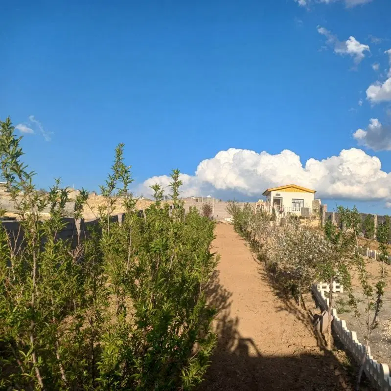 باغ ارم ۲یکانه