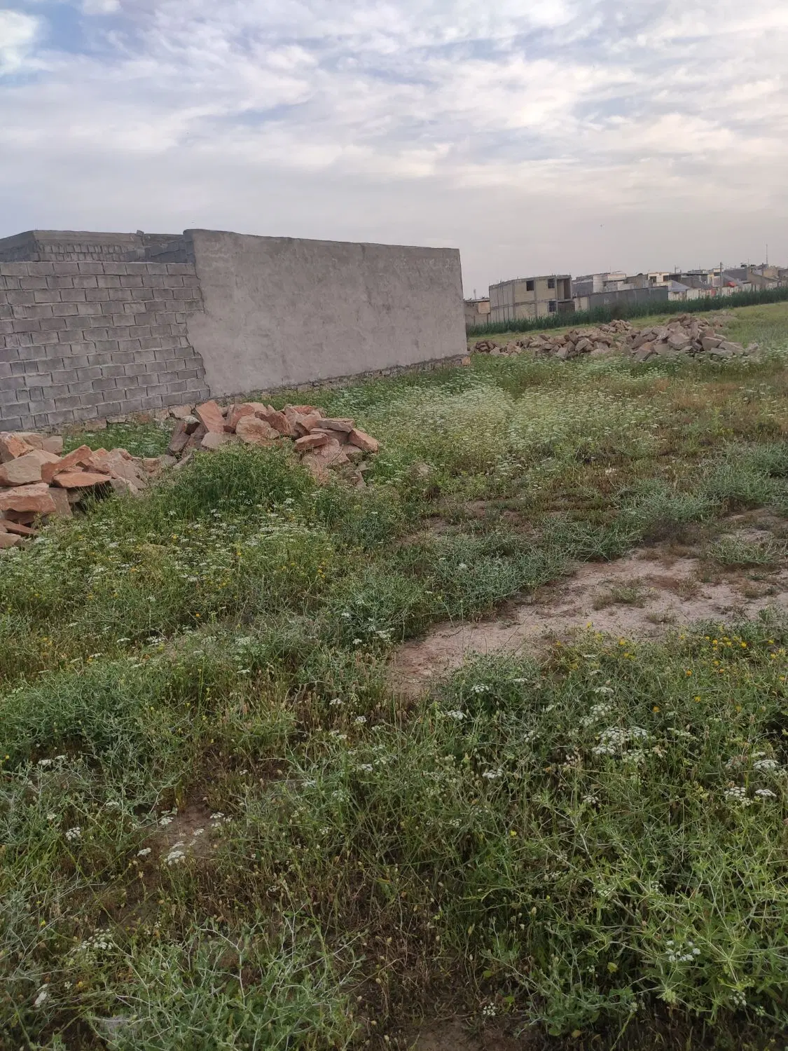 زمین برای خونه باغ.