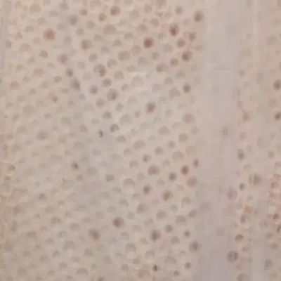 نانوایی لواشی