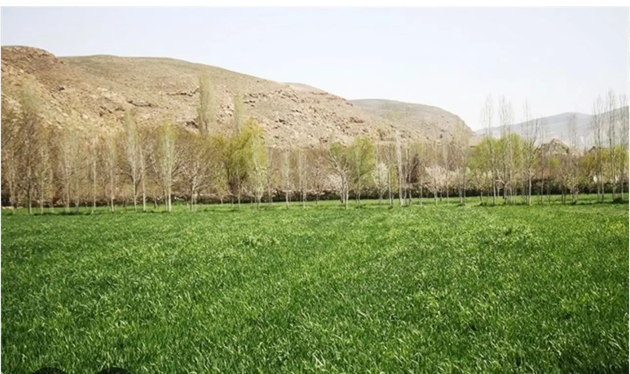 زمین کشاورزی و باغی مناسب ویلا در بزگوش وجاده حصار