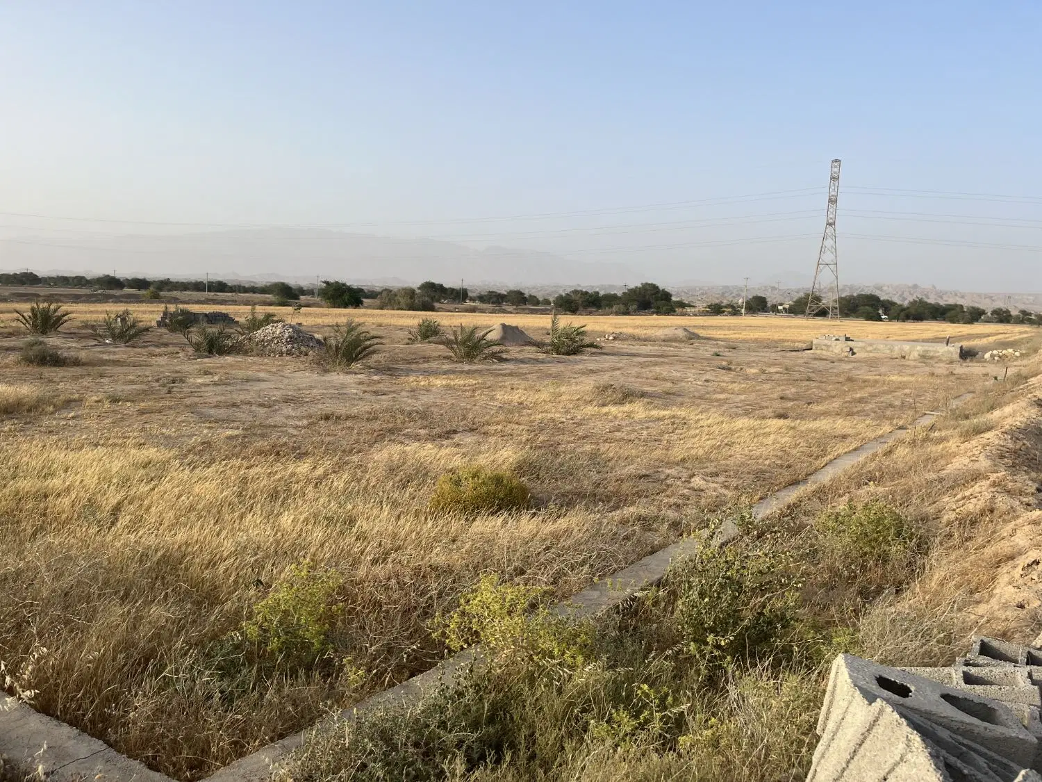 زمین دو هکتاری روستای منقل کنار جاده اصلی