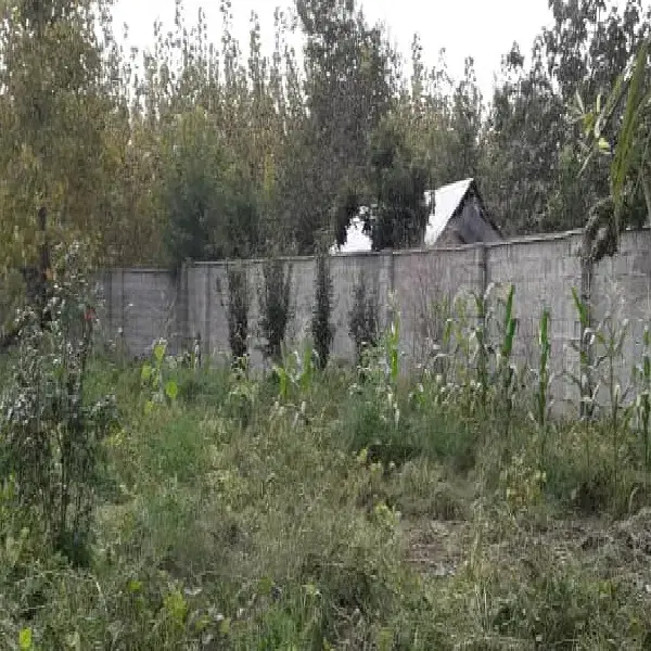 فروش زمین ۱۳۰۰متری