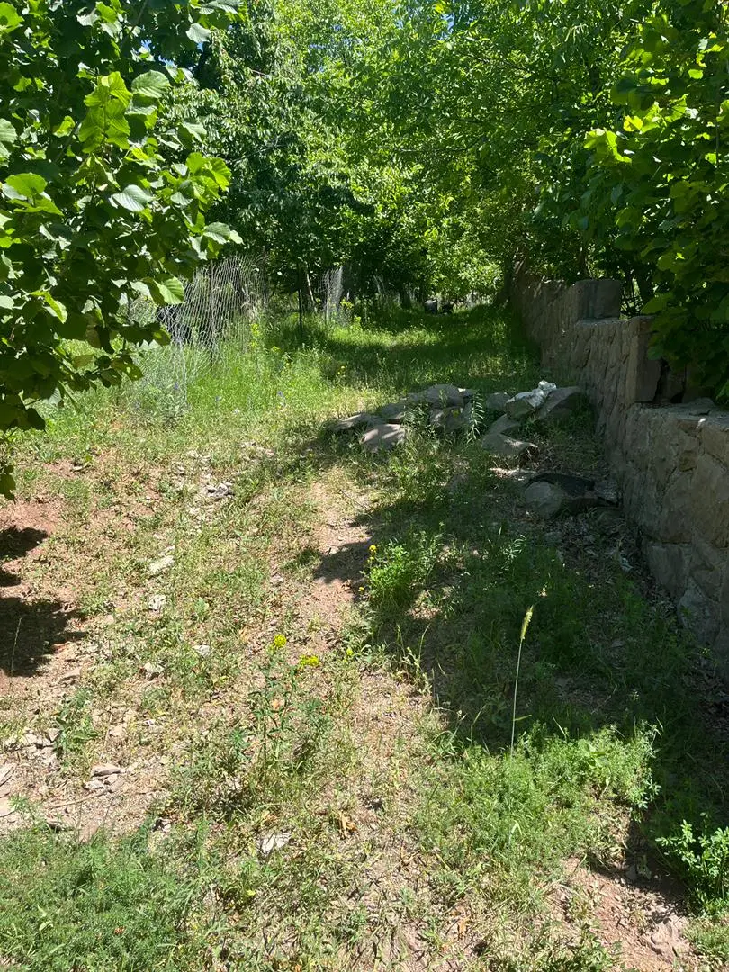 ۲۲۵۰متر مسکونی سند شش دانگ