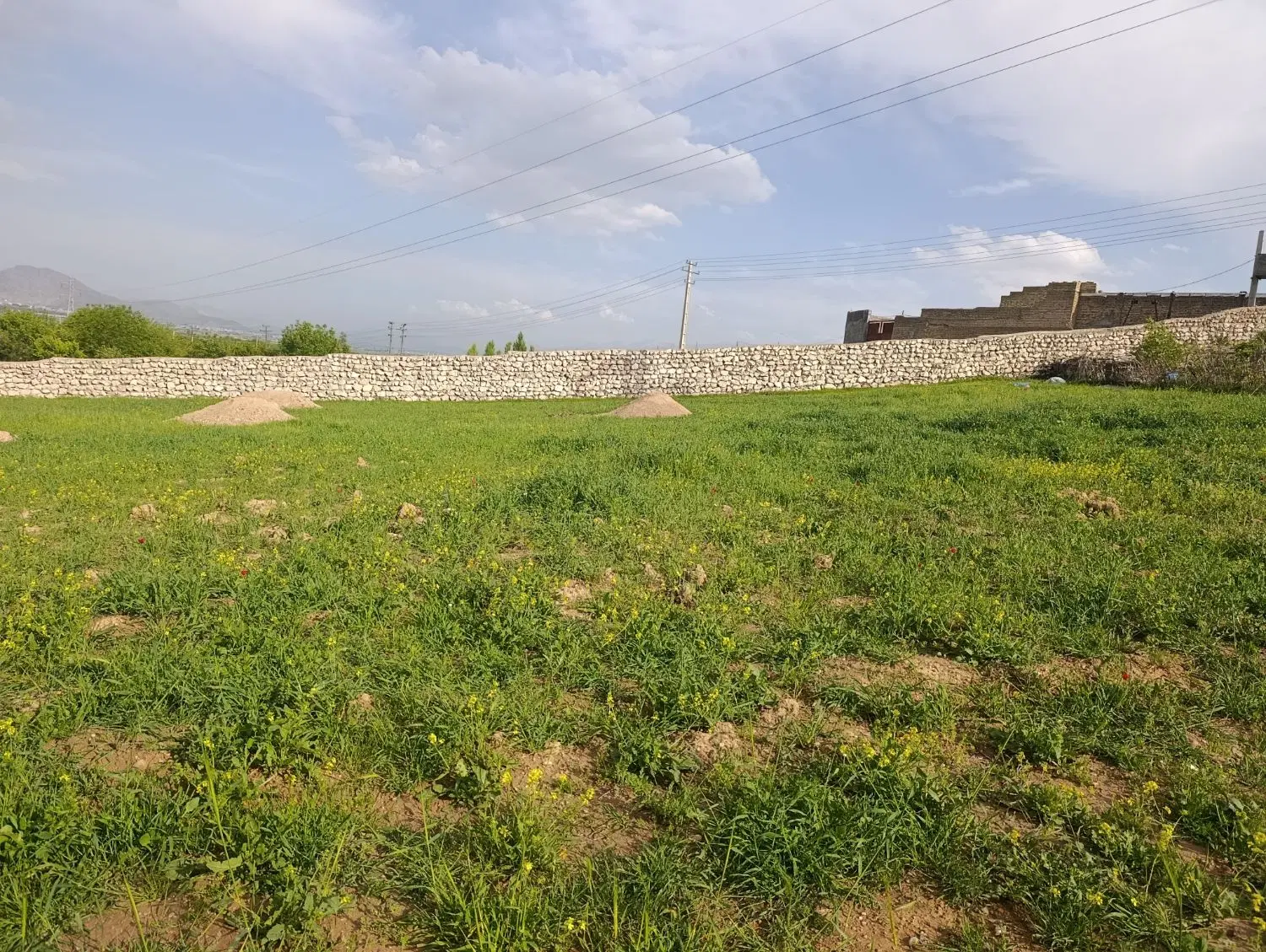 زمین کشاورزی