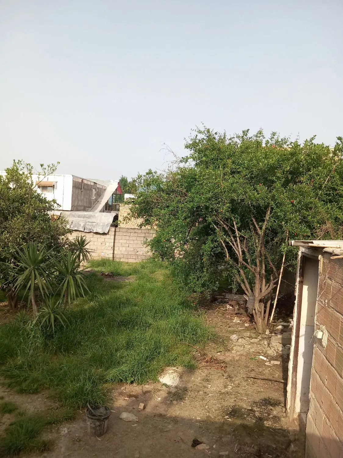 زمین مسکونی