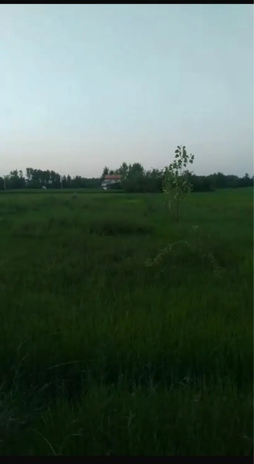 زمین سنگر روستای چنچه