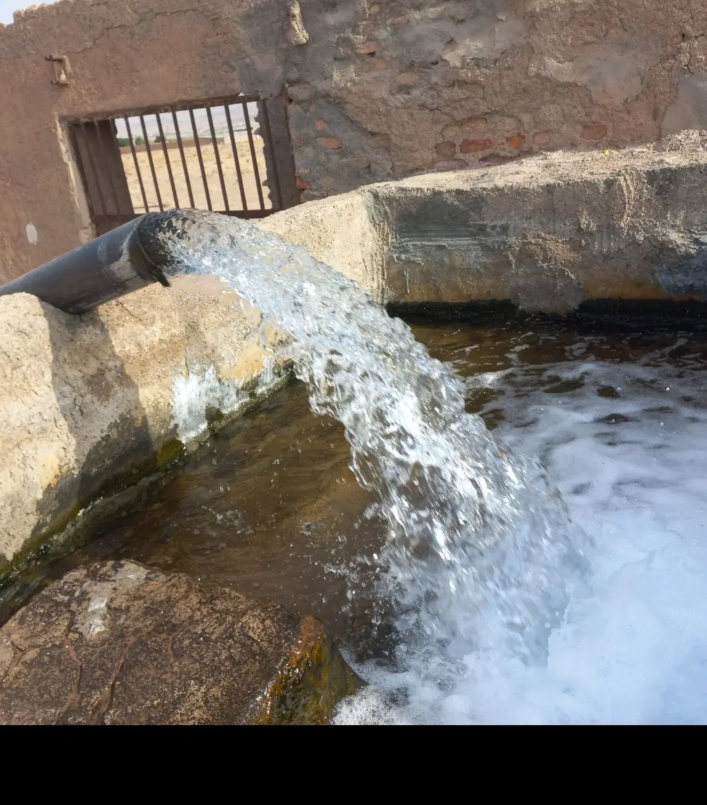 باغ زمین کشاورزی