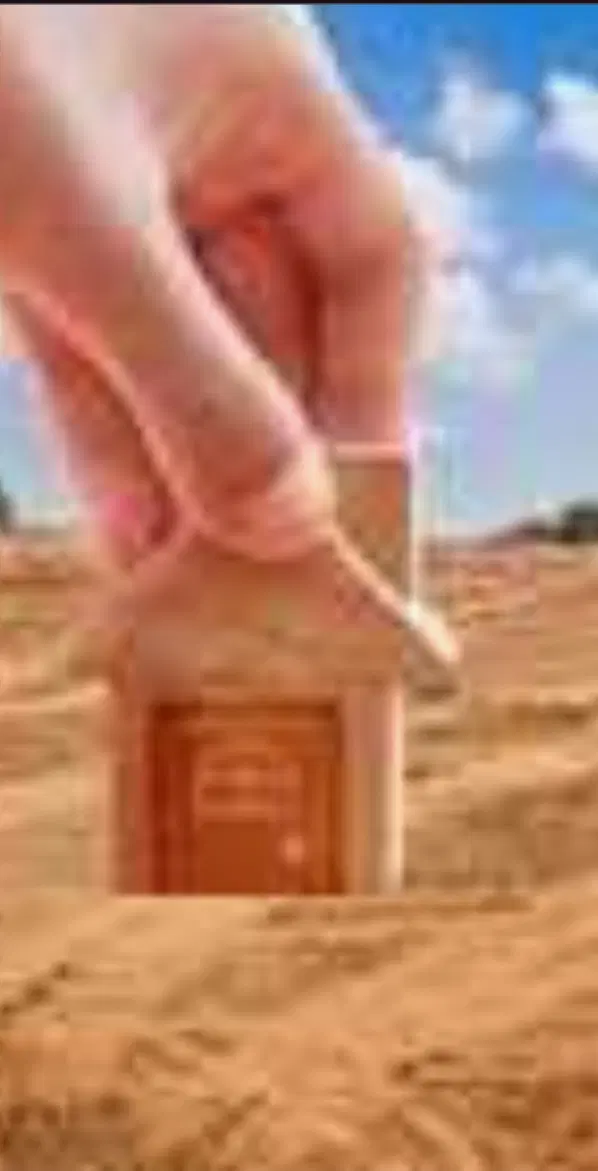 زمین فروشی کالیکه