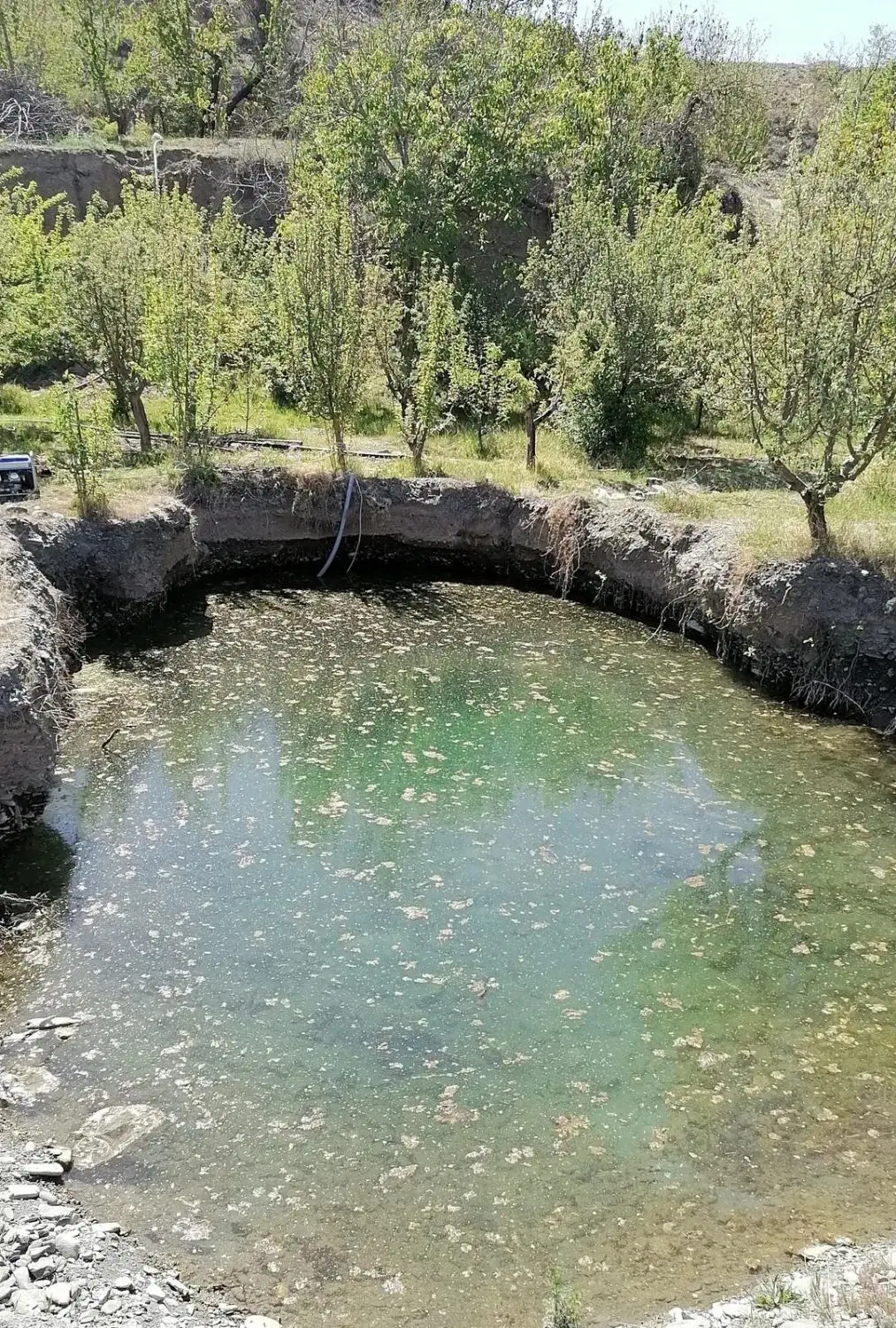 زمین ابقد گلبهار