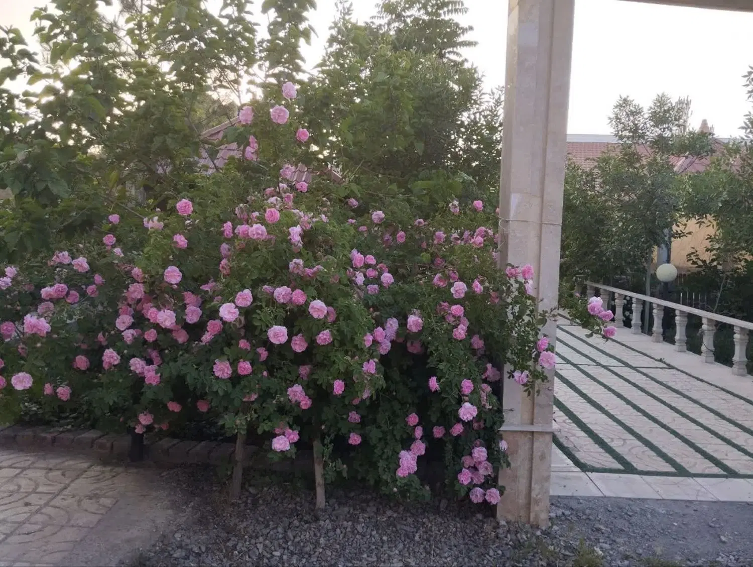 معاوضه باغ شاهنامه ۷۶دهشک حاشیه شقایق شمالی