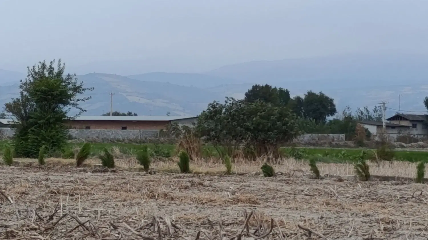 زمین باغی نزدیک اتوبان