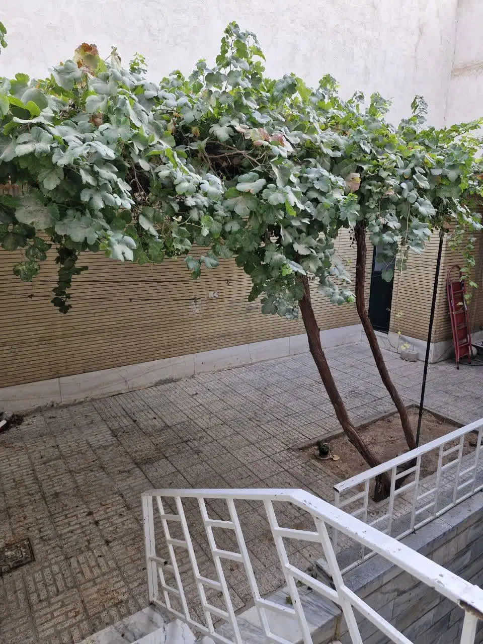 فروش منزل ویلایی