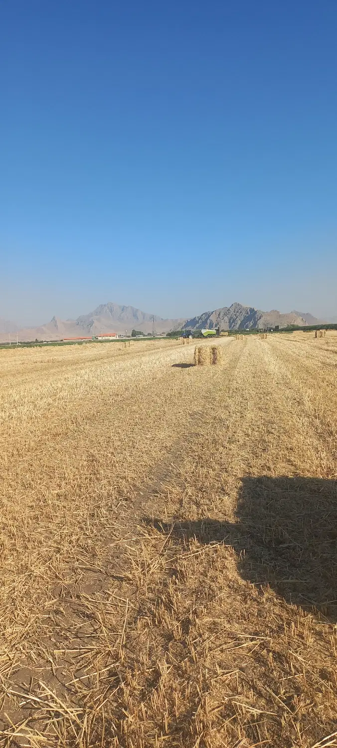 زمین کشاورزی ۱۶۰۰۰
