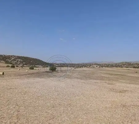 زمین