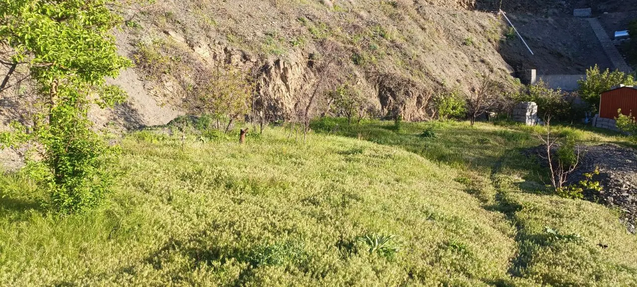زمین زشک ۱۴