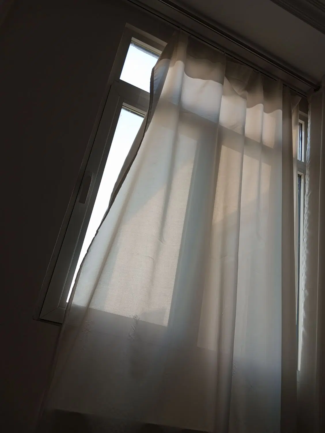 هم خونه مدرس یا دانشجوی زبان