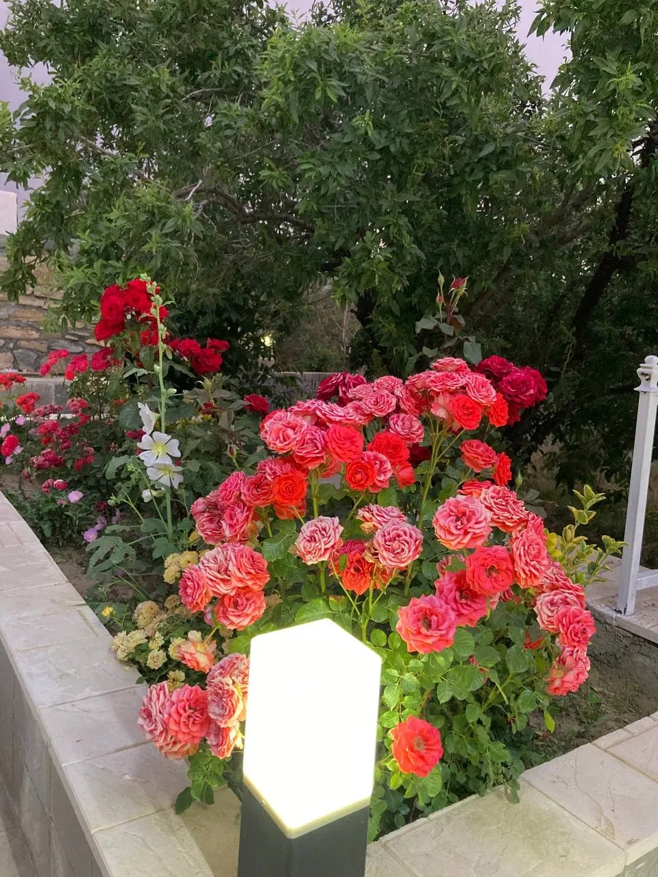 باغ ویلا نیکسام