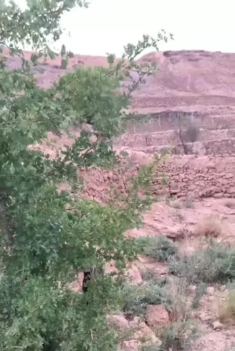 زمین زراعی در محدوده طرح هادی در روستای طار نطنز