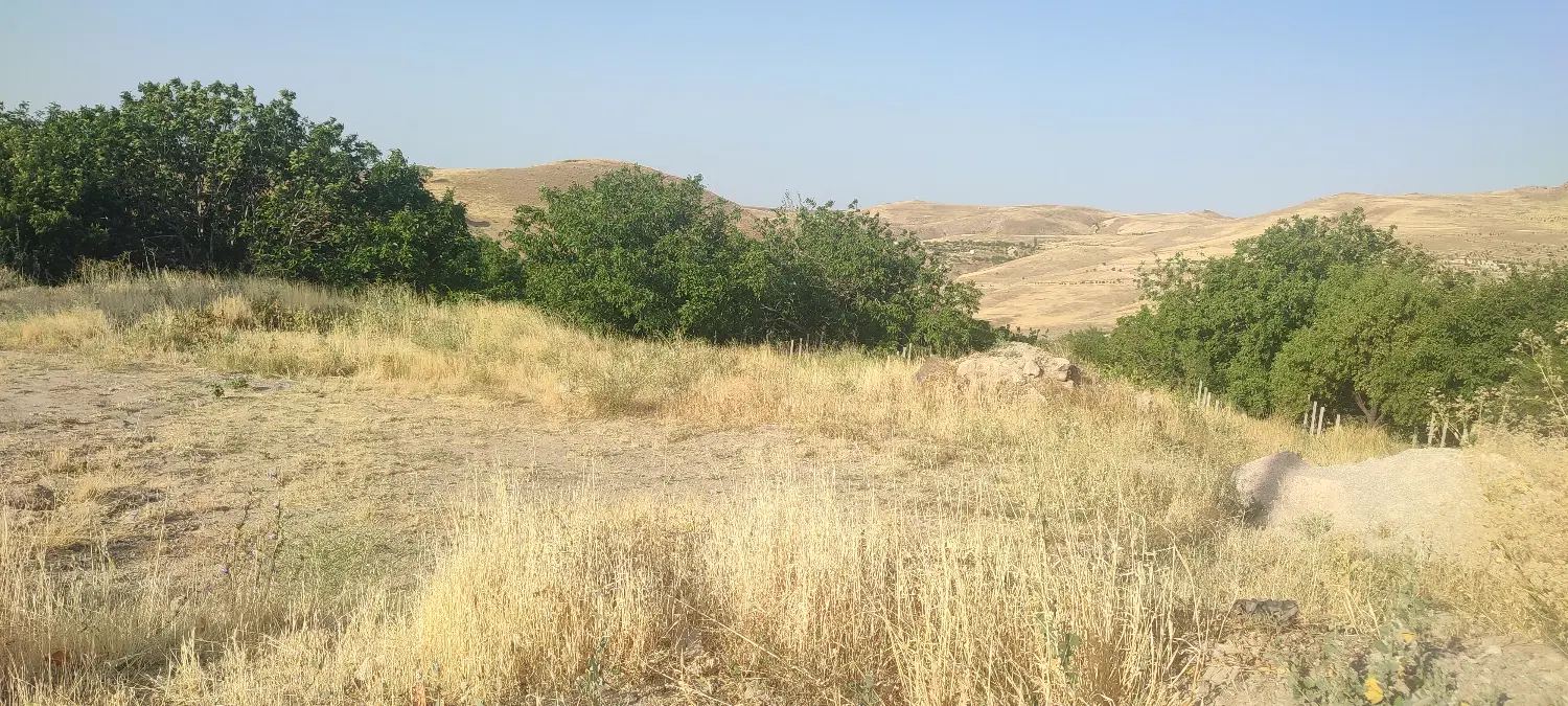 زمین مسکونی