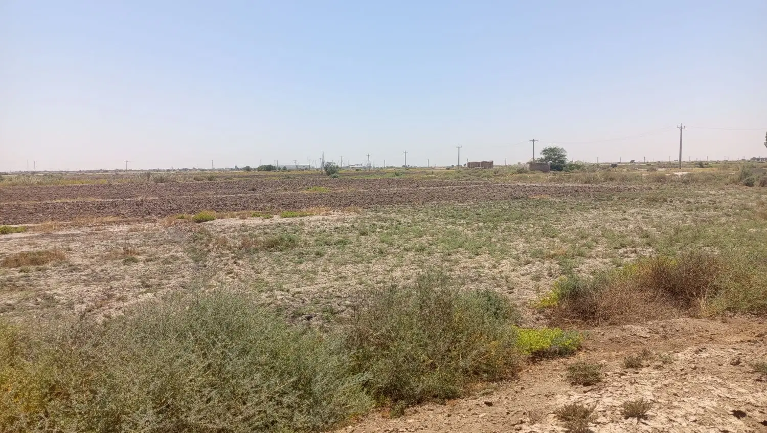 زمین کشاورزی فروش و معاوضه با ماشین
