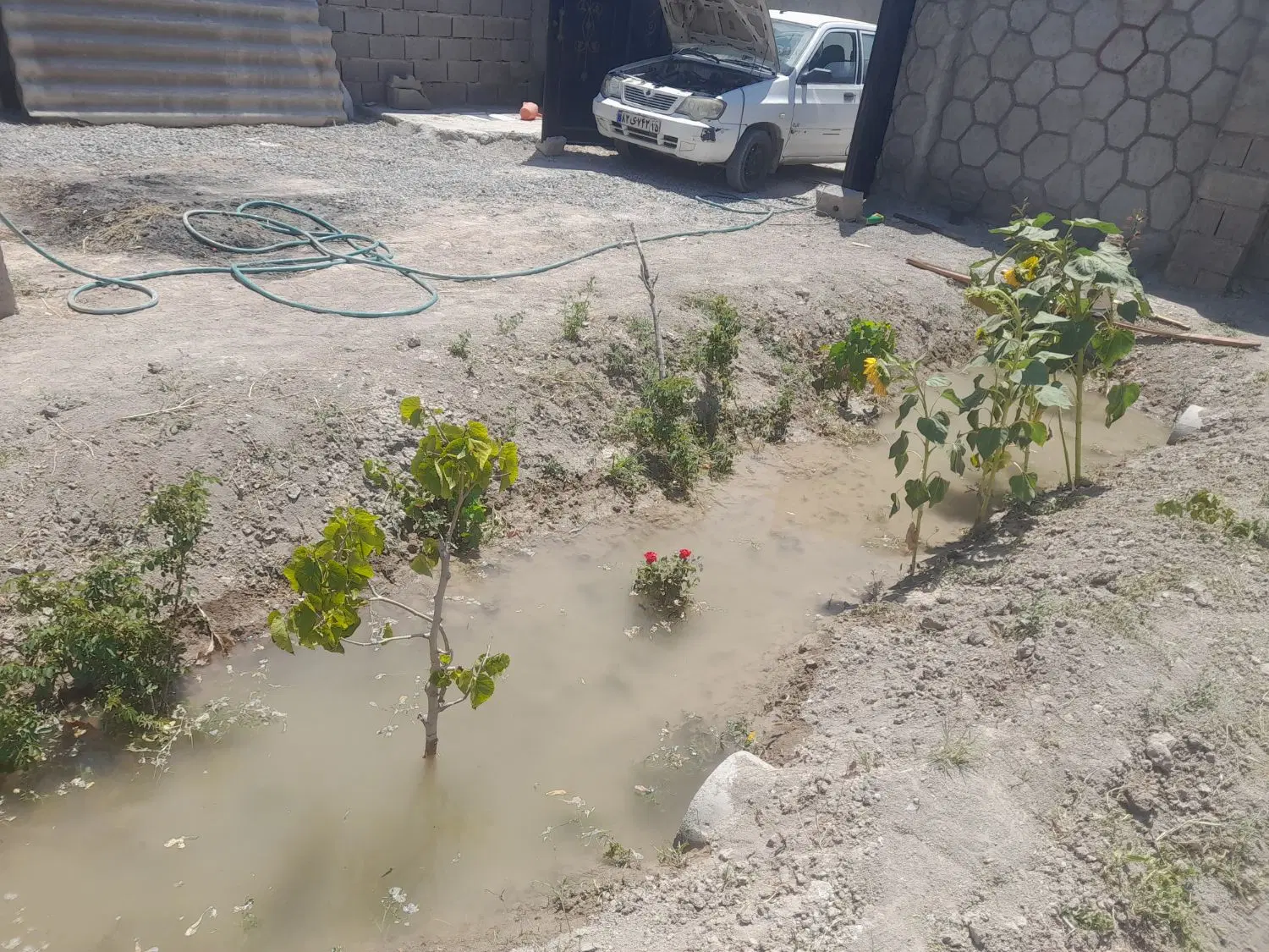 باغ ۵۰۰ متری
