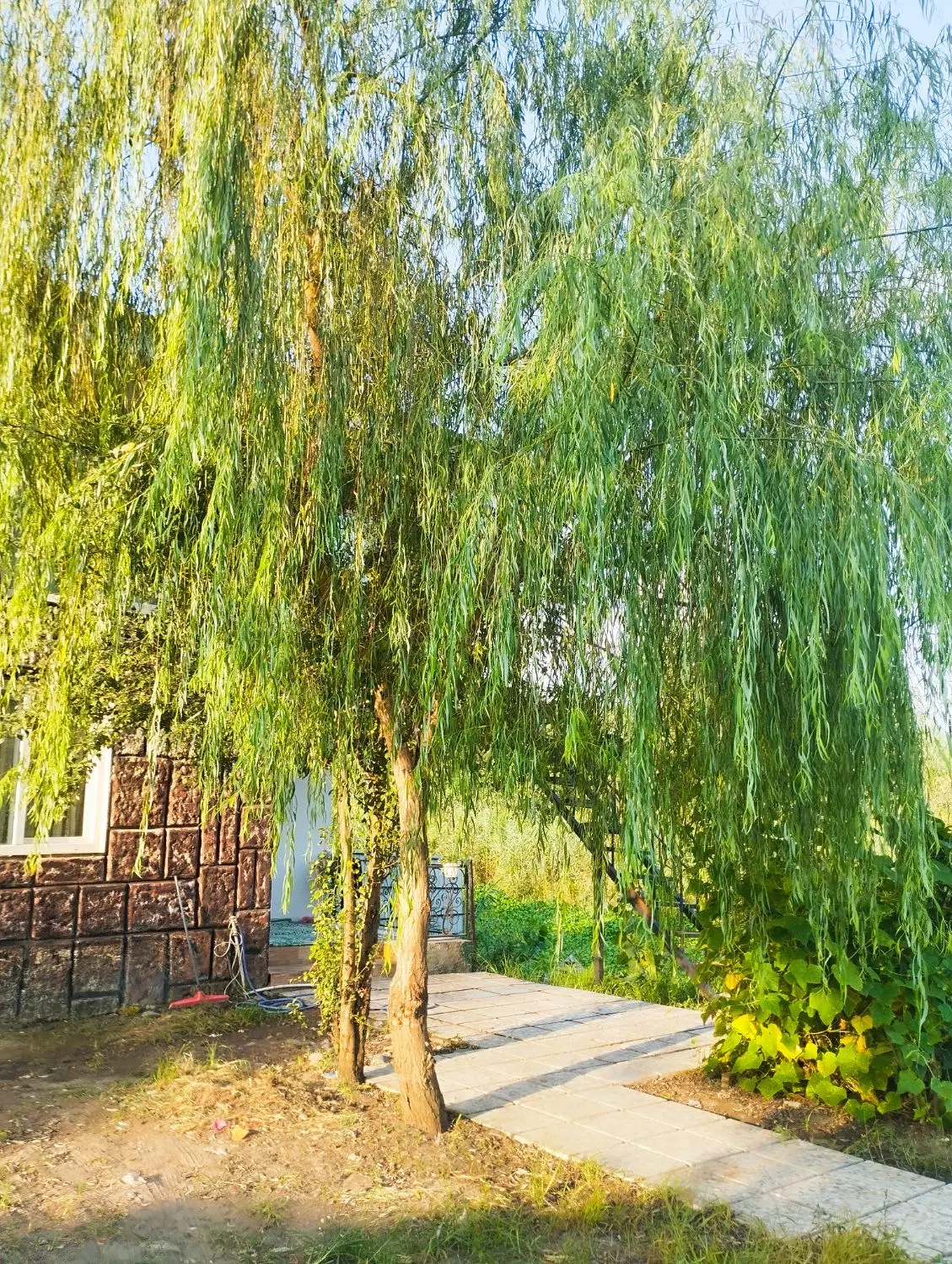ویلا کنار مرداب دوبلکس انزلی