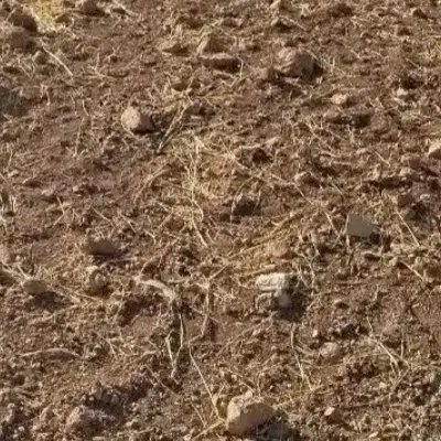 بدرآباد زمین جا قبر