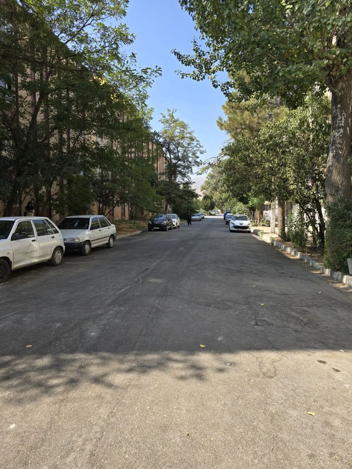 زمین ۲۵۰ متری_جنوبی_باغ ایرانی_بلوار جانبازان