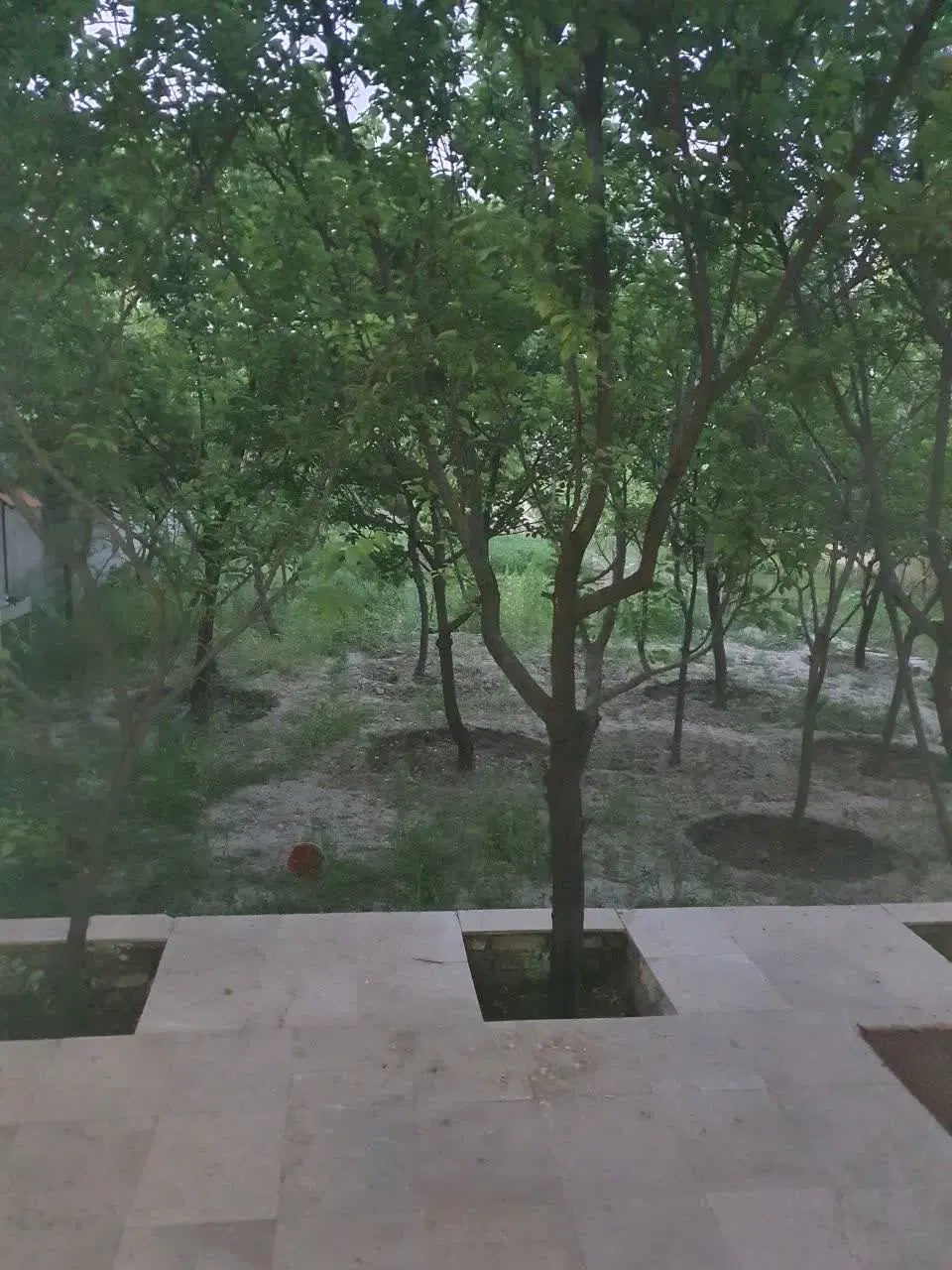 ویلا اجاره ای