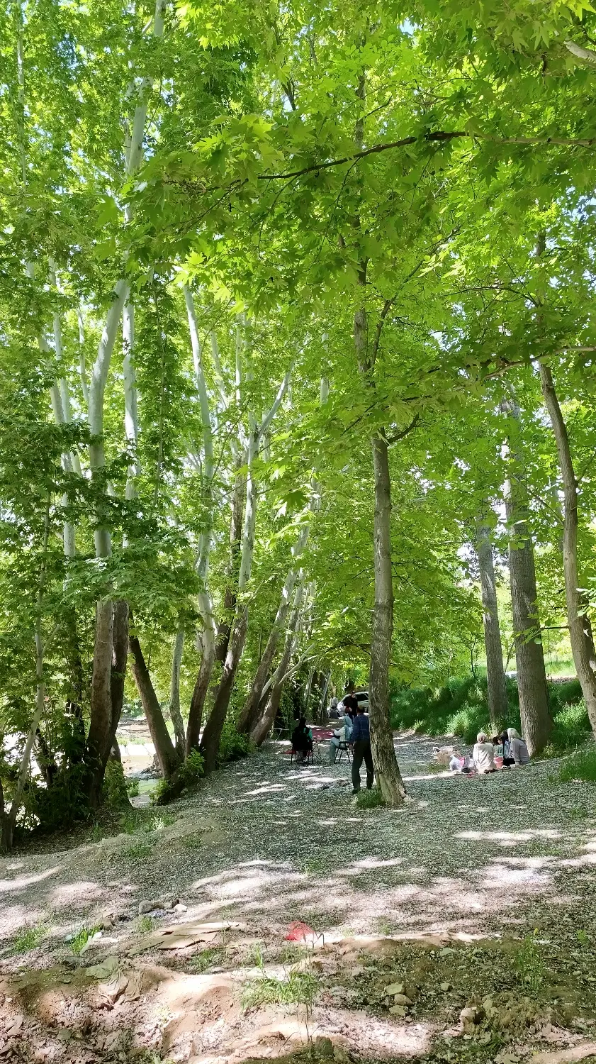 باغ روستای مهنان کنار رودخانه