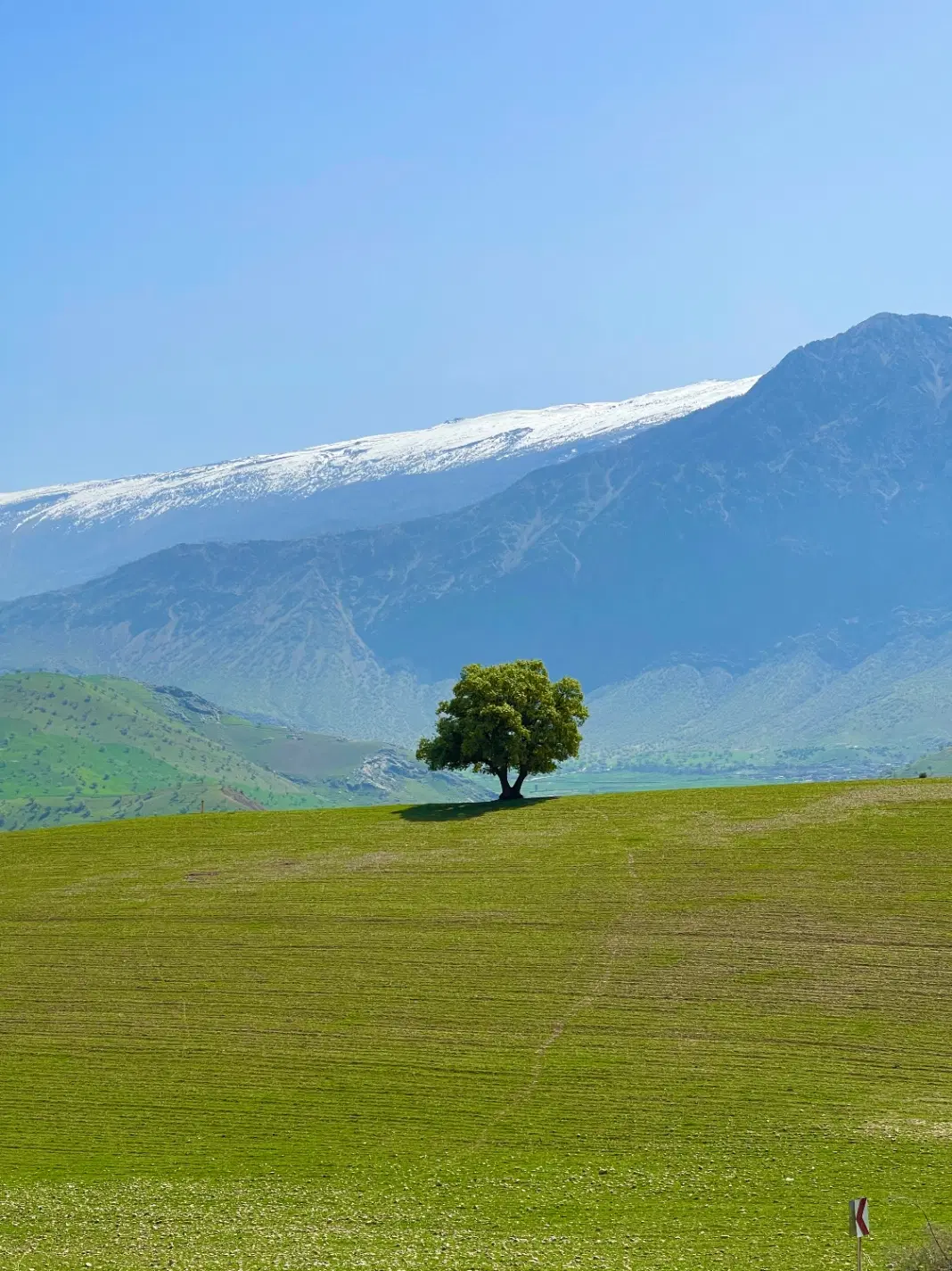 فروش زمین در محدوده منطقه ازاد